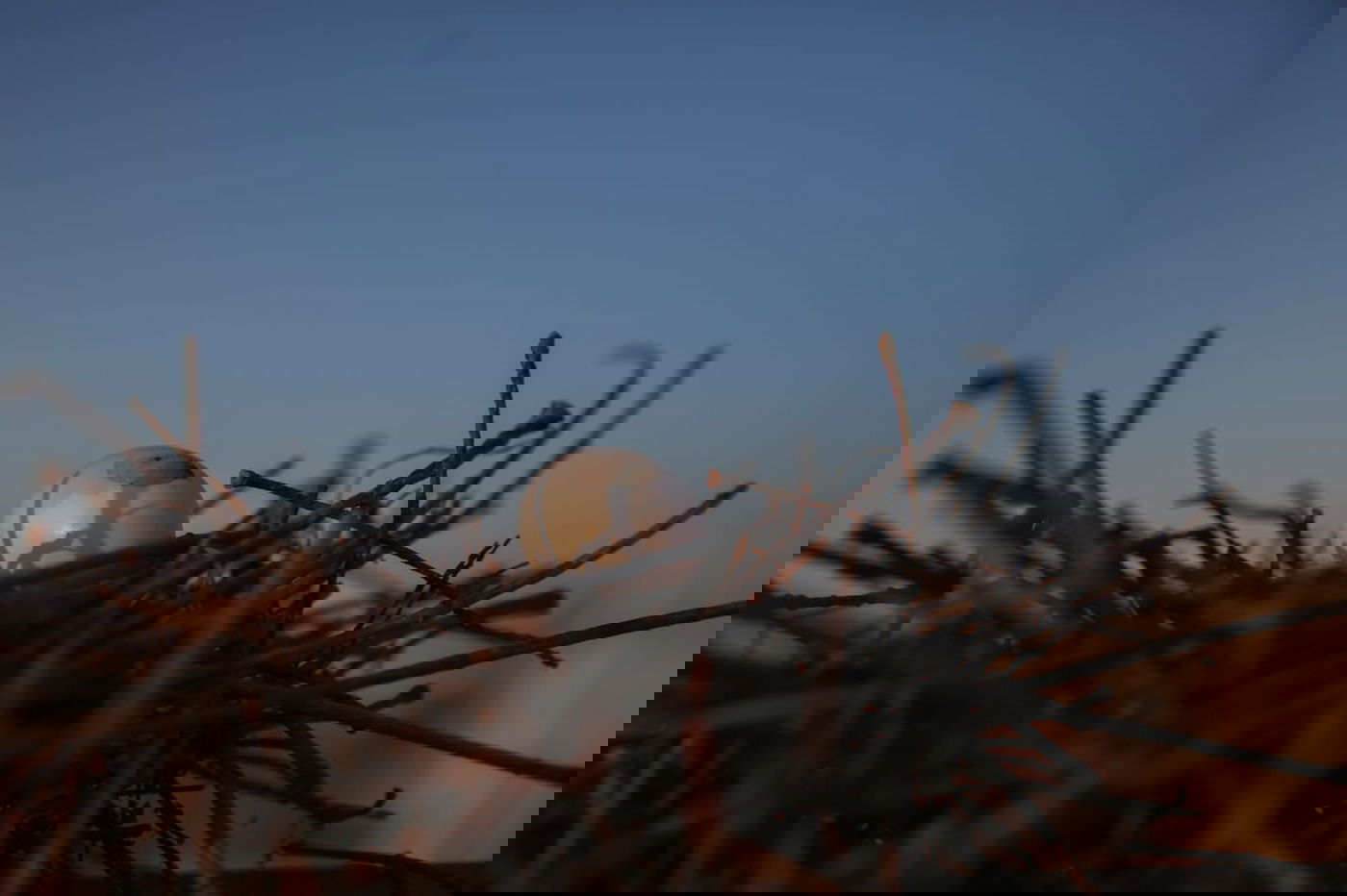 צפו: מבט מלמעלה על השכונות בירושלים