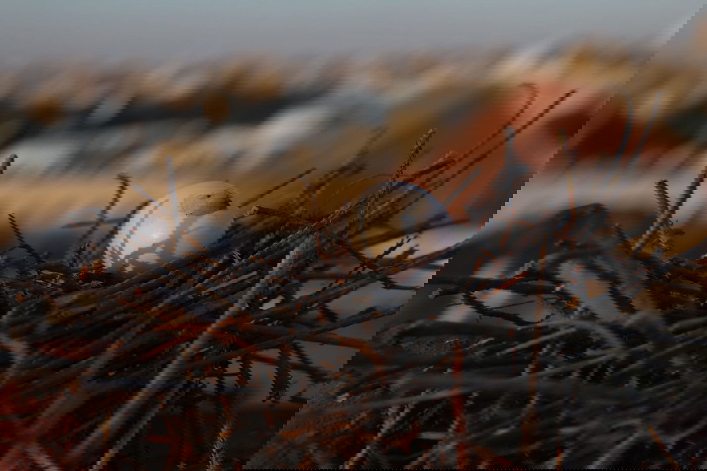 צפו: מבט מלמעלה על השכונות בירושלים