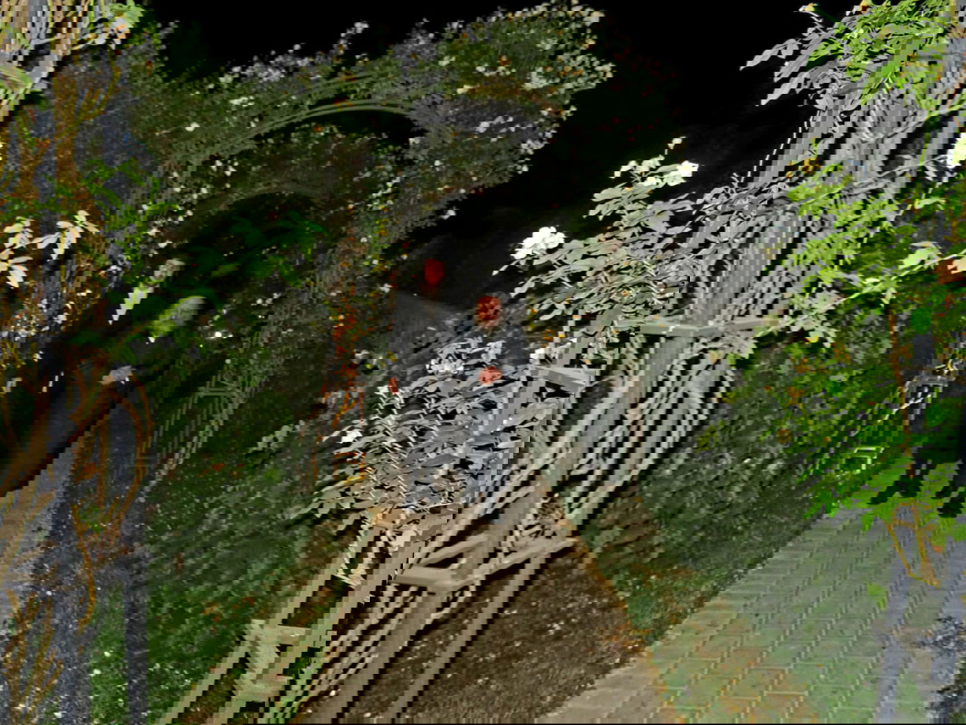 האדמו"ר מנדבורנא באניא ב'נאות דשא'