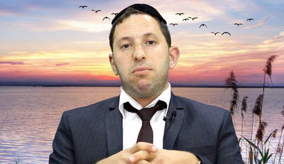 הרב נפתלי וסרמן עם רעיון לפרשת שופטים. צפו