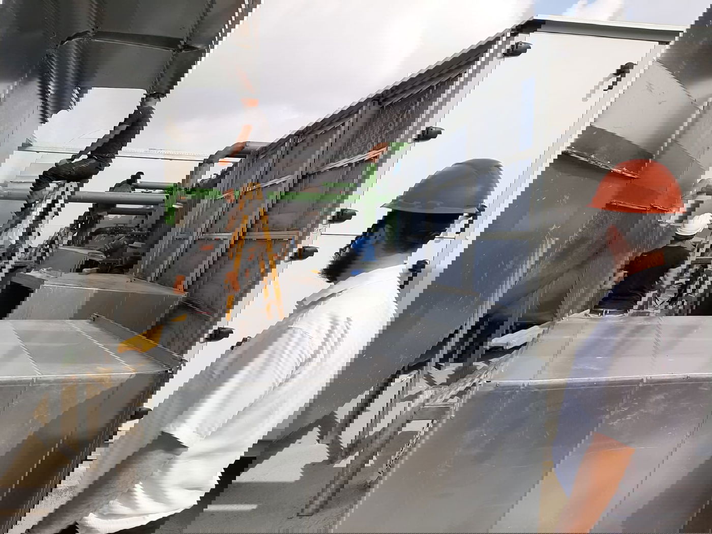 תיעוד: ההכנות בויז'ניץ לקראת ראש השנה