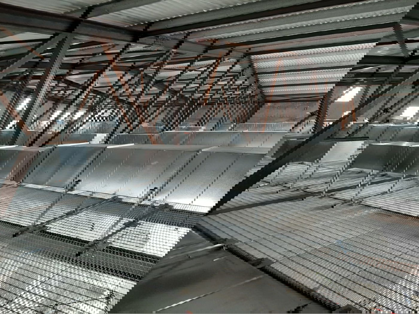 תיעוד: ההכנות בויז'ניץ לקראת ראש השנה