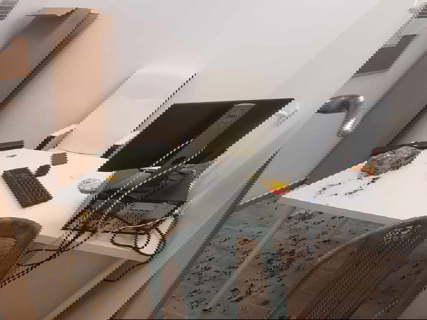 וונדליזם חמור בעיר בית שמש: פורעים השחיתו מעון חרדי