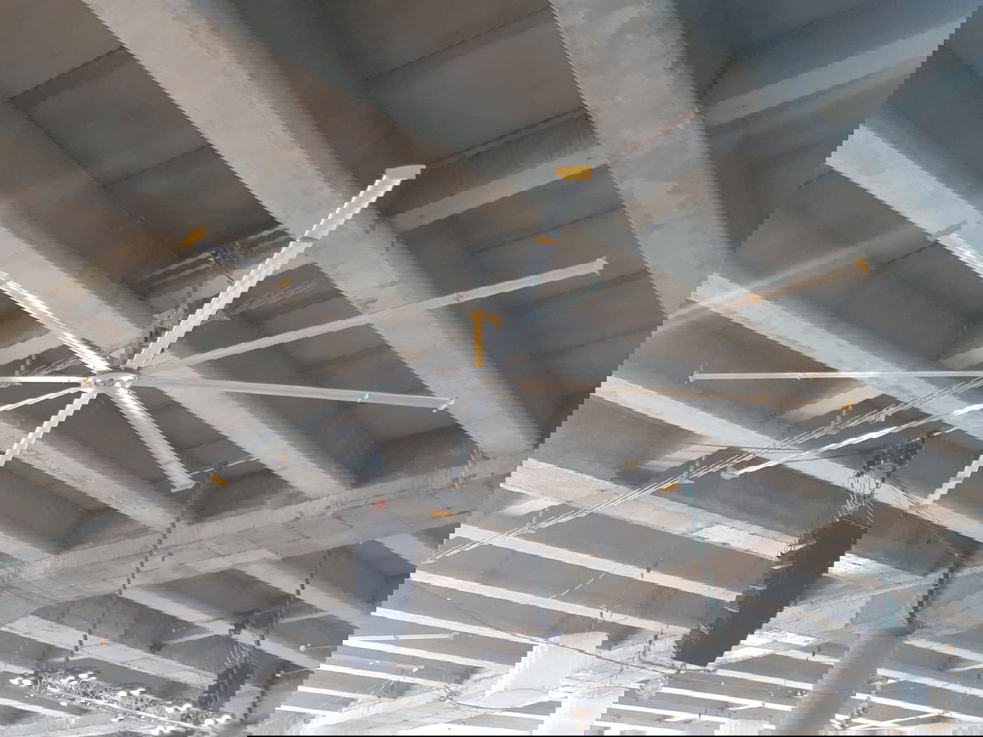 נכדו של האדמו"ר: כך תיראה חתונת הענק בגור