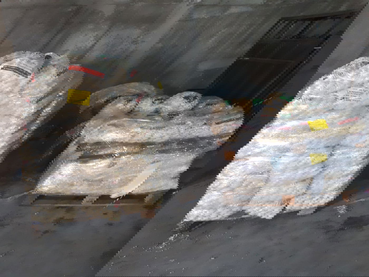 נכדו של האדמו"ר: כך תיראה חתונת הענק בגור