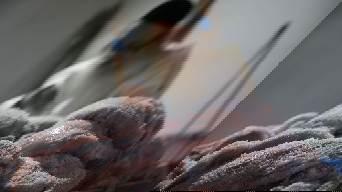 צפו: הירושלמי המבוגר מולח את העופות