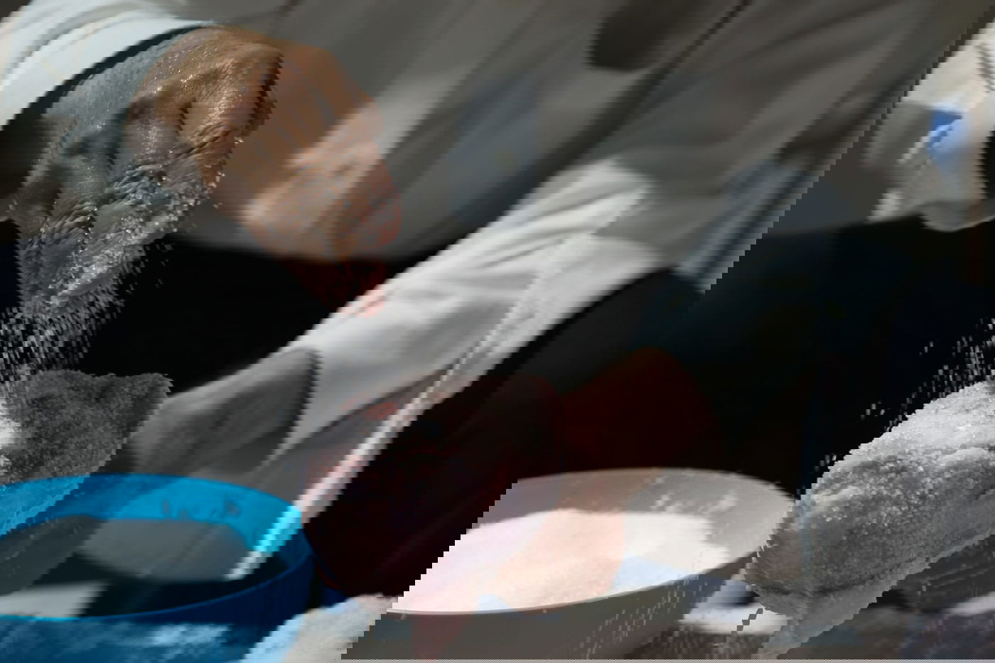 צפו: הירושלמי המבוגר מולח את העופות