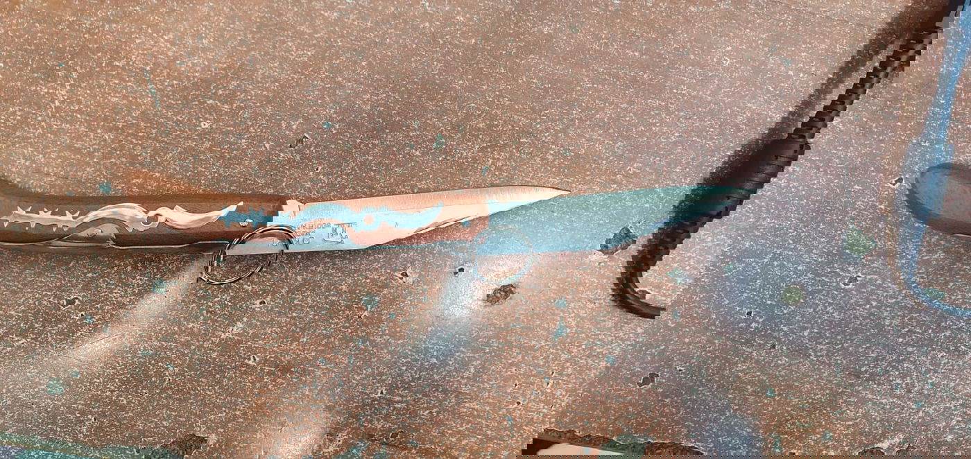 הסכין שנתפסה