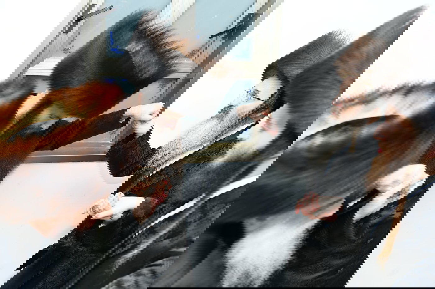 שמחת השבע ברכות לבנו של האדמו"ר מזוטשקא אמסנא