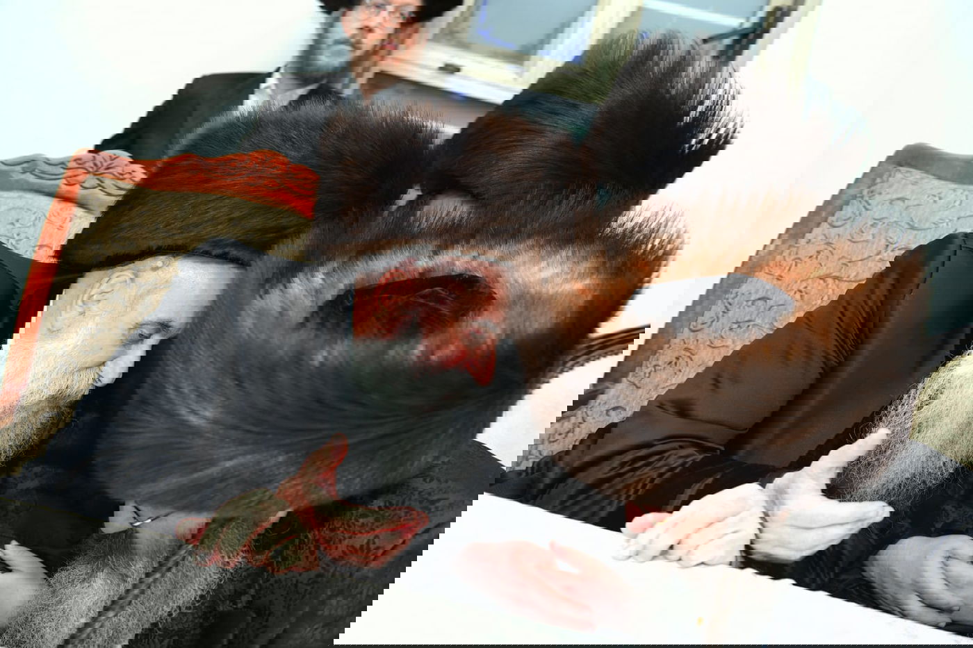 שמחת השבע ברכות לבנו של האדמו"ר מזוטשקא אמסנא