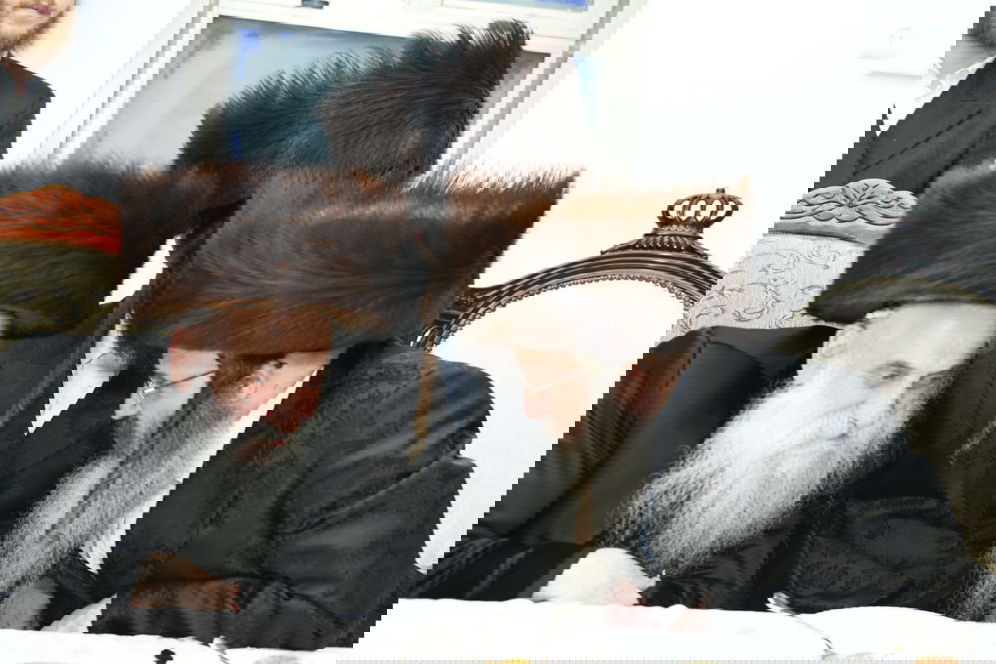 שמחת השבע ברכות לבנו של האדמו"ר מזוטשקא אמסנא