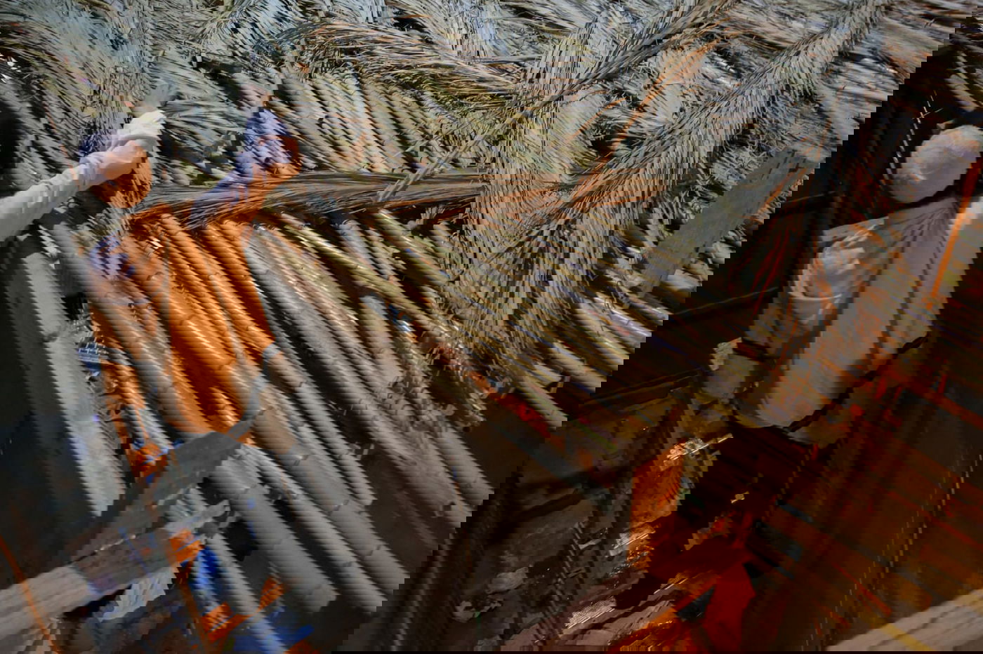 בשביל הצ'אלמרס חג הסוכות כבר בפתח • תיעוד