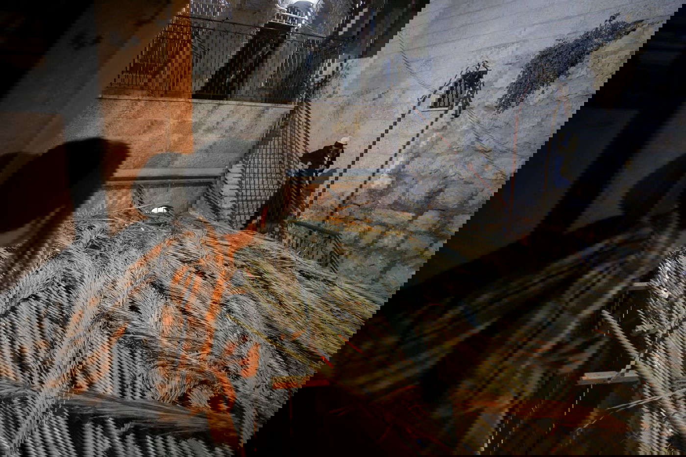 בשביל הצ'אלמרס חג הסוכות כבר בפתח • תיעוד