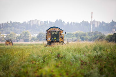 קטיף פלפלים בעמק יזרעאל