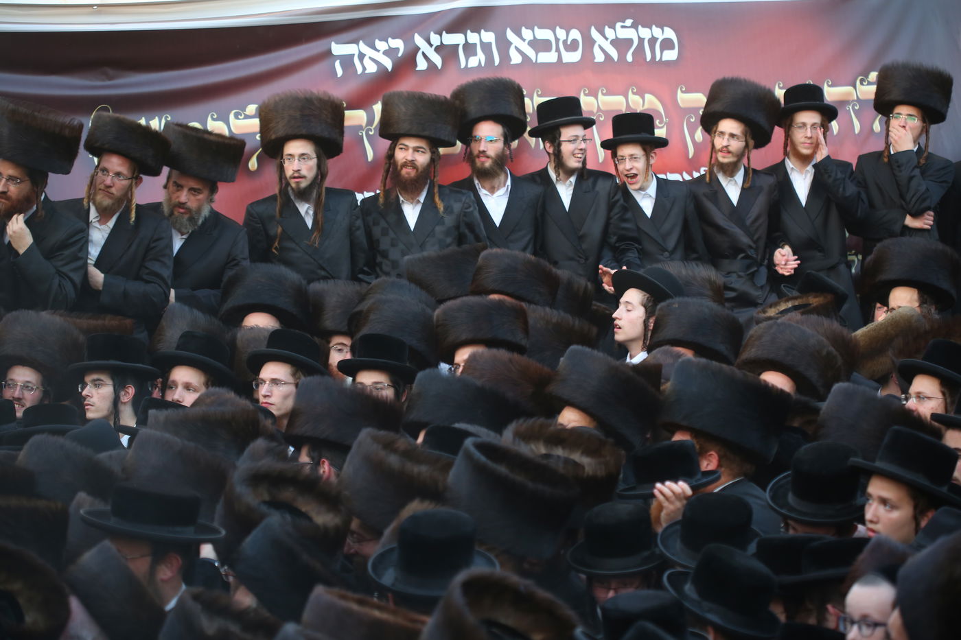 האדמו"ר מלעלוב הקפיץ את חסידיו בחתונת נכדו