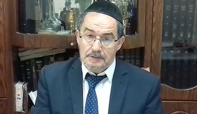 הוורט במרוקאית