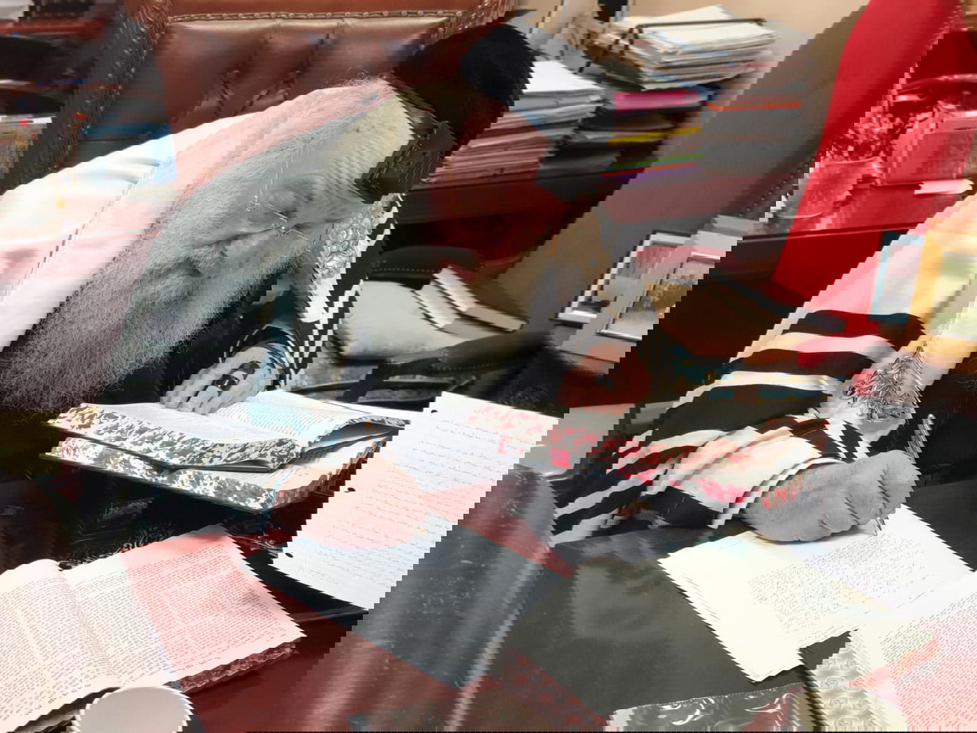 התלמידים מוחים ב'העדה' - המאשימה את 'אגודת ישראל'