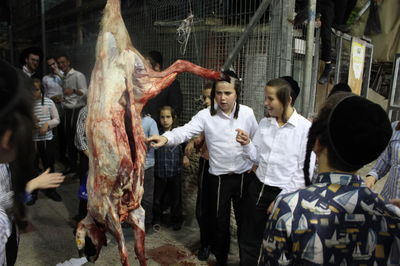 בפינסק קרלין שחטו כבש לקראת ראש השנה