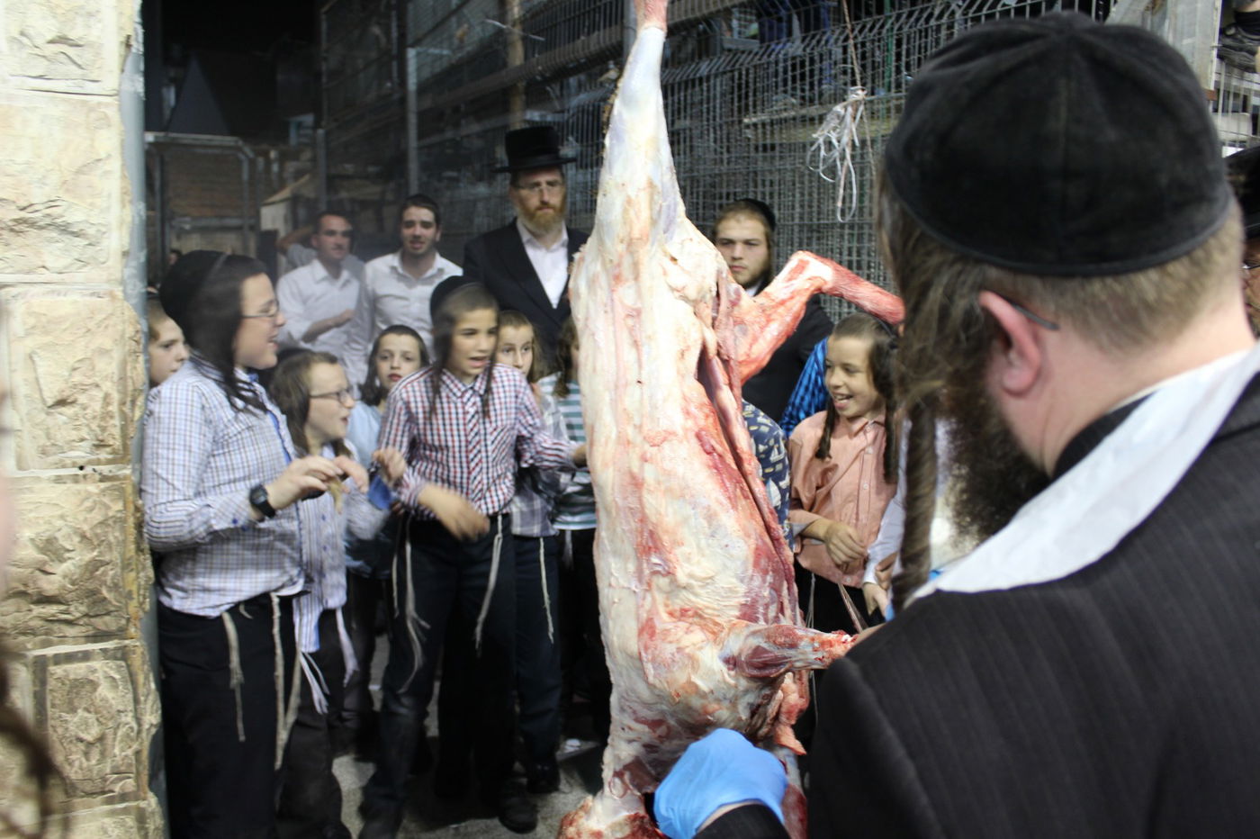 בפינסק קרלין שחטו כבש לקראת ראש השנה