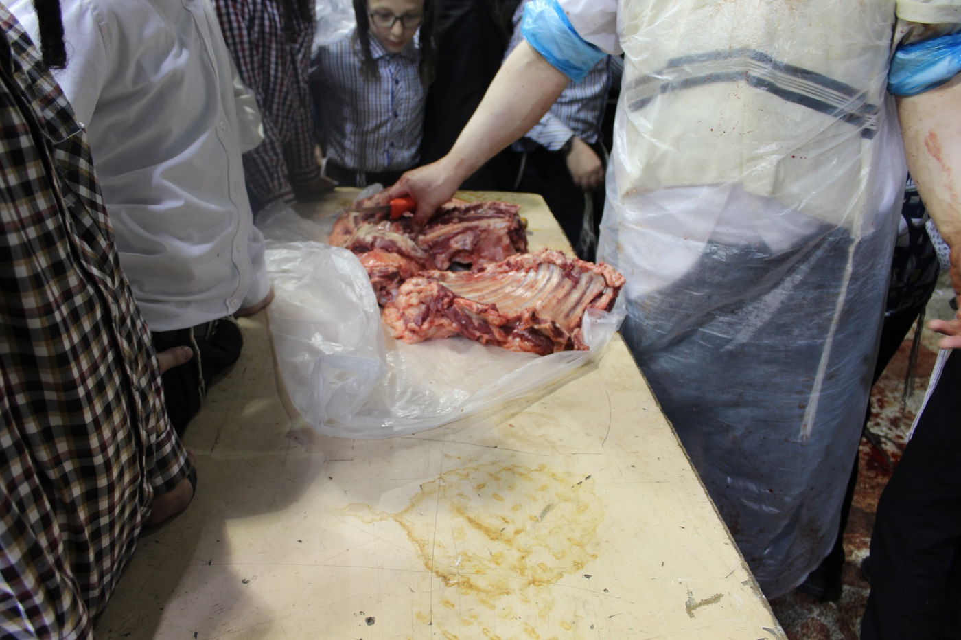 בפינסק קרלין שחטו כבש לקראת ראש השנה