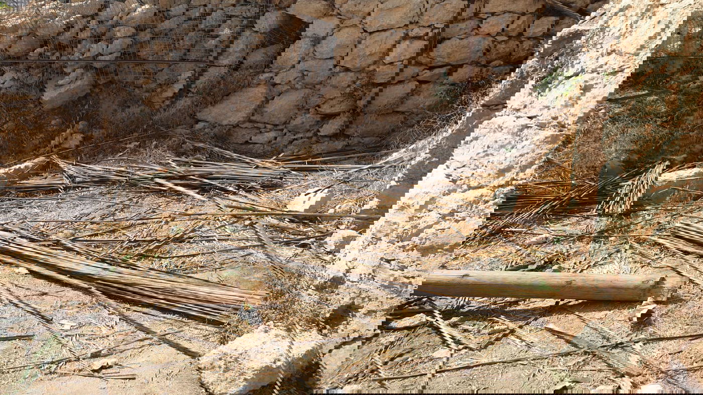 בית הכנסת העתיק בחברון נהרס בידי צה"ל