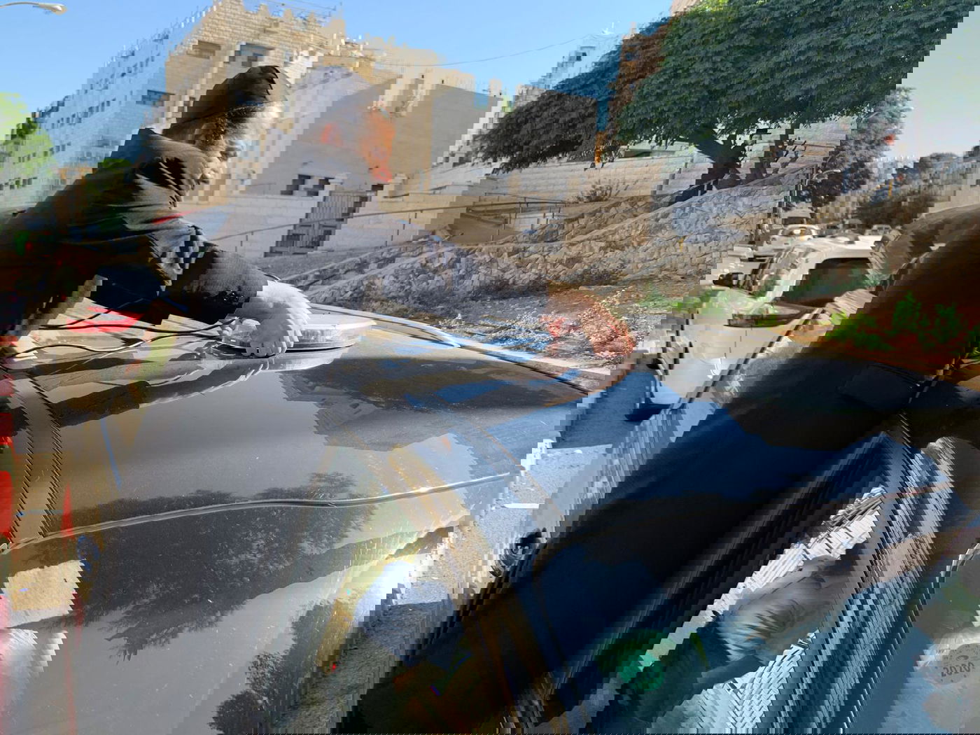 זופניק בכיכר • כל התמונות והנייעס של השבוע