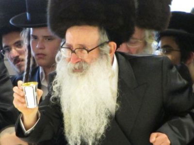 הנעשה בחצרות הקודש בשבת "כי תבוא"