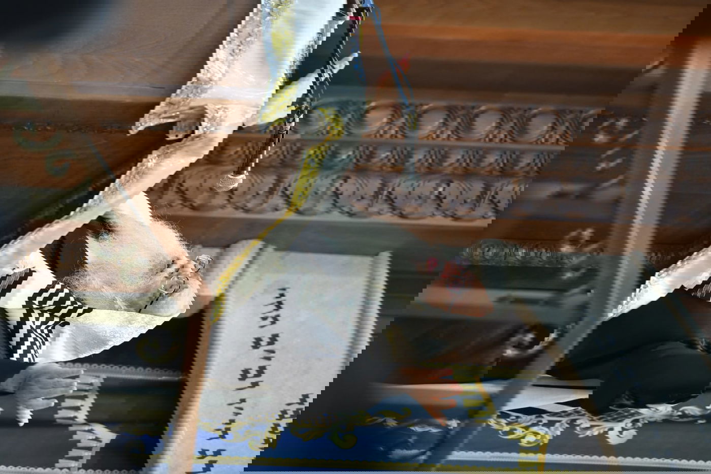 תיעוד: ה'סליחות' בצאנז - אלפים, לפנות בוקר