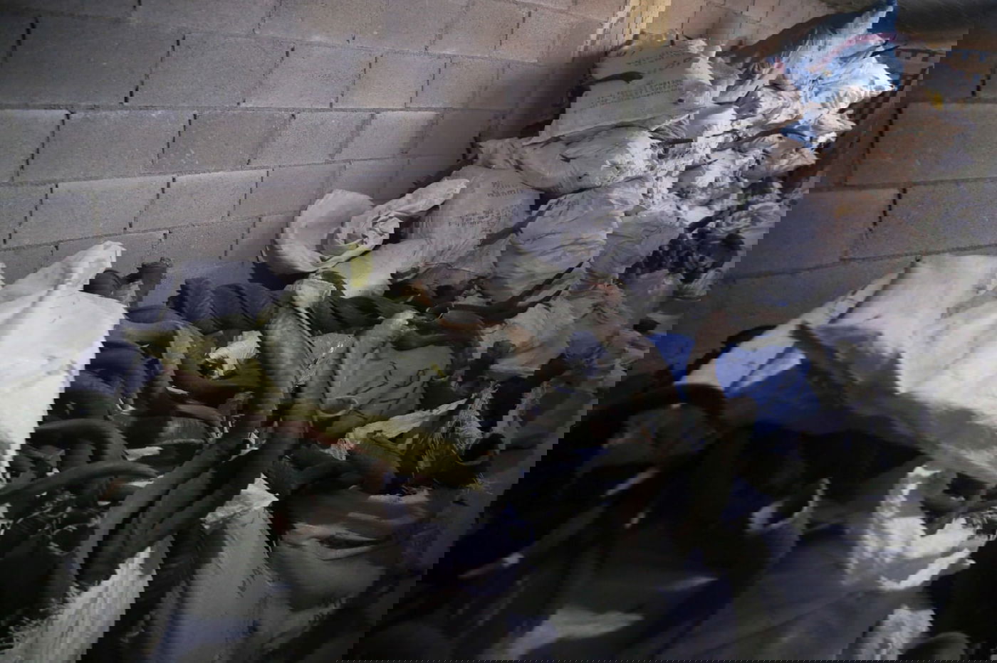 איך מכינים שופרות מהודרים? • צפו בגלריה