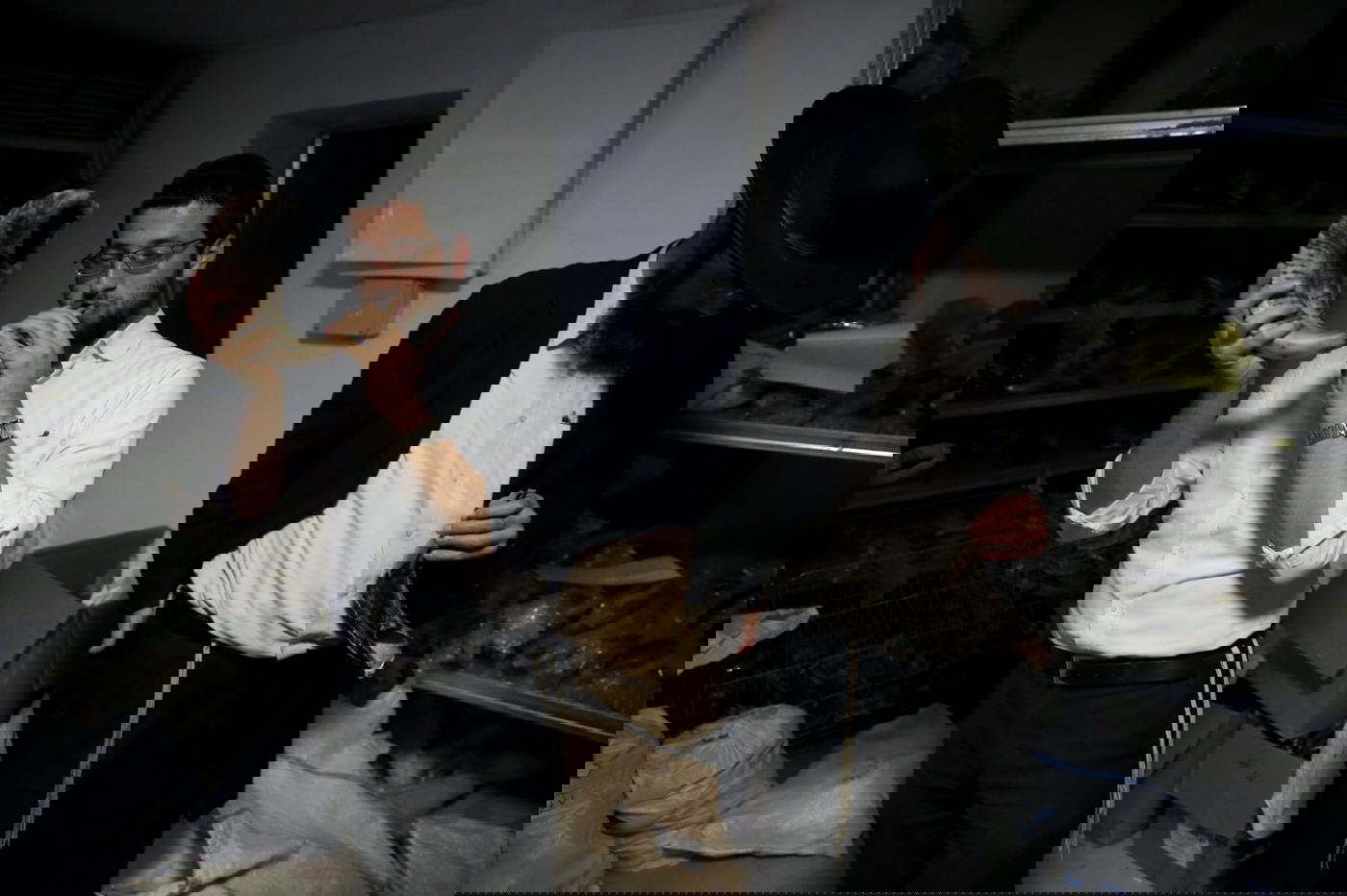 איך מכינים שופרות מהודרים? • צפו בגלריה