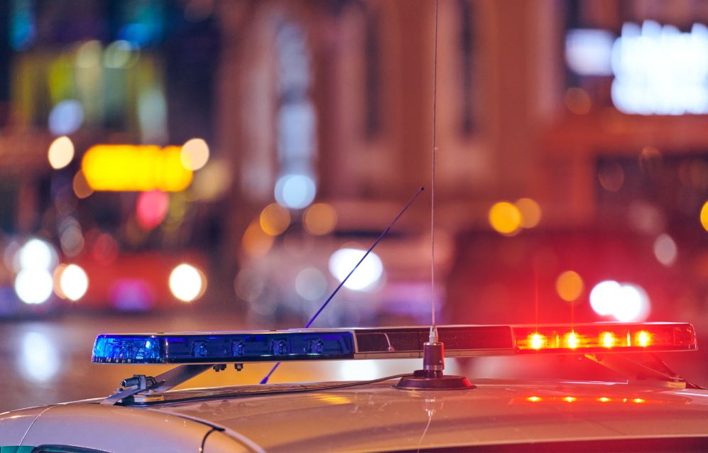 ניידת שיטור