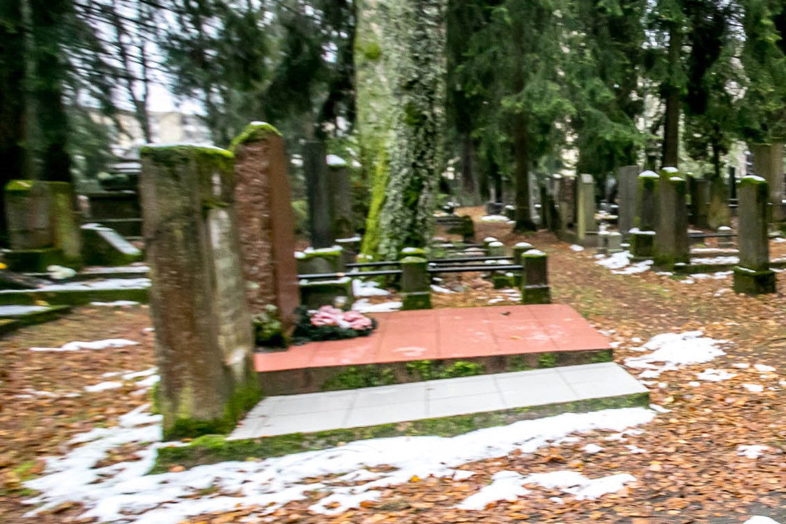 אילוסטרציה