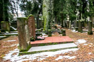 אילוסטרציה