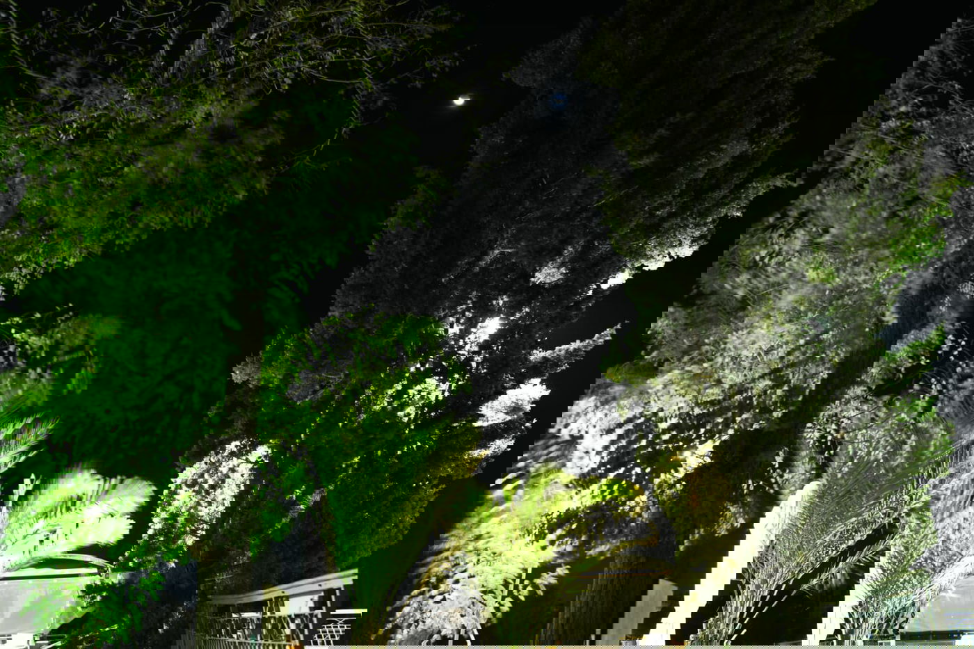 ימין משה הירושלמית מזווית מרהיבה  • צפו