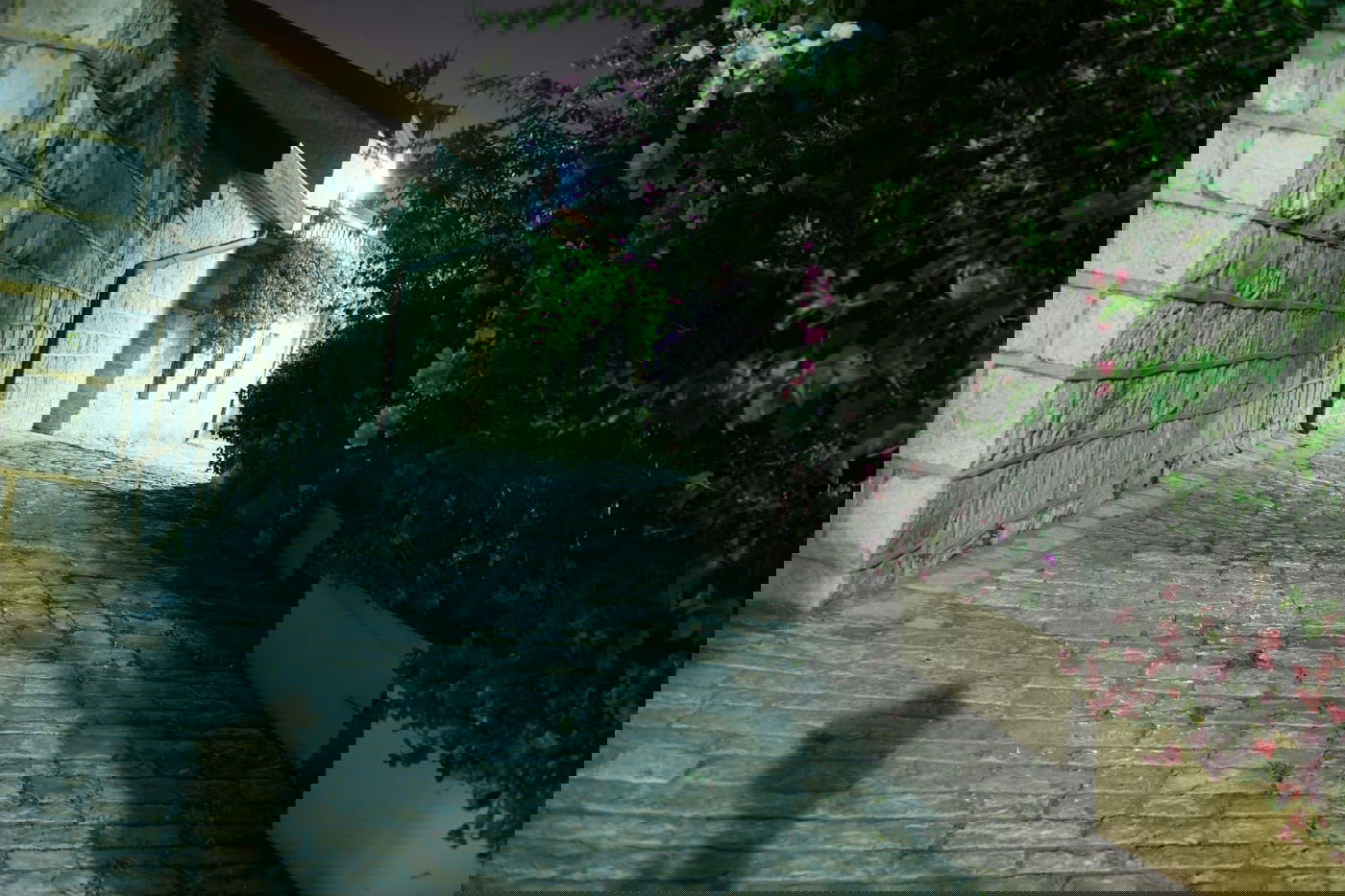 ימין משה הירושלמית מזווית מרהיבה  • צפו