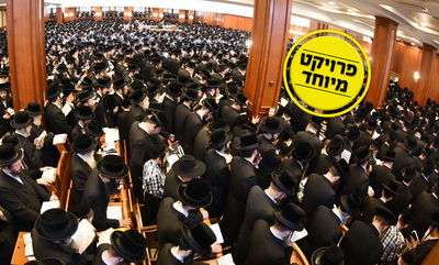 היכל ביהמ"ד בעלזא