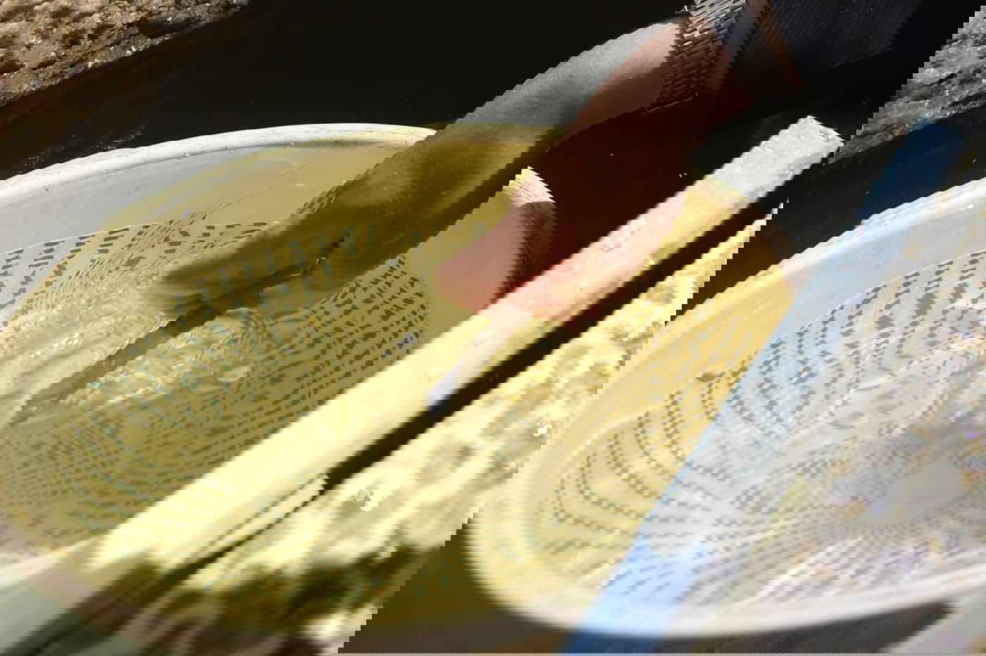 סגולת הסכינים לפרנסה - במאה שערים. צפו