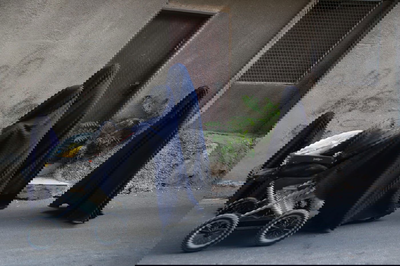 12 תמונות השנה • חיים גולדברג מסכם שנה עם המצלמה