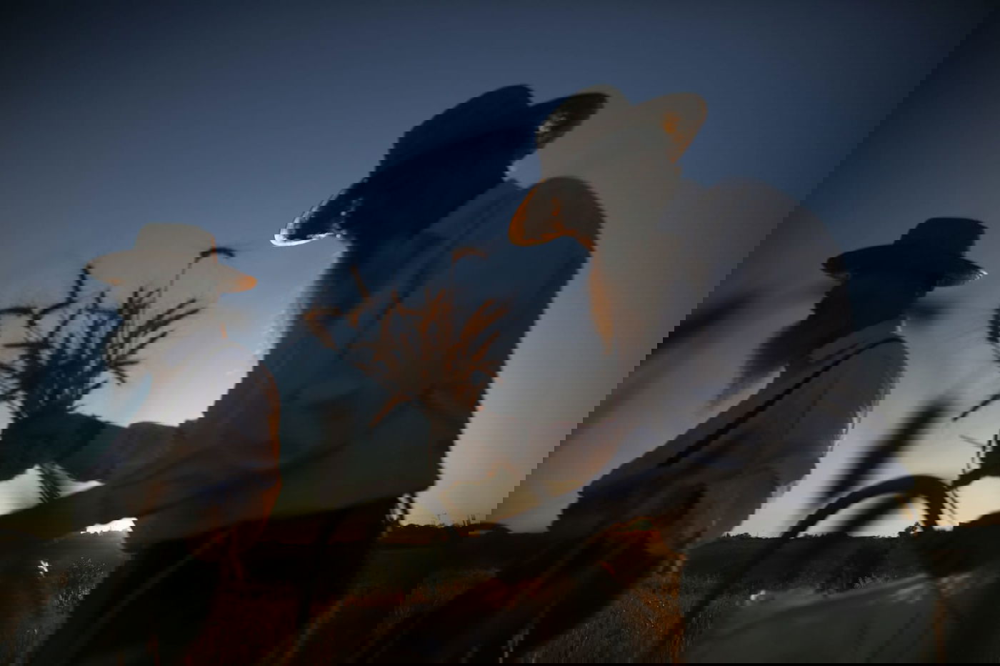 12 תמונות השנה • חיים גולדברג מסכם שנה עם המצלמה