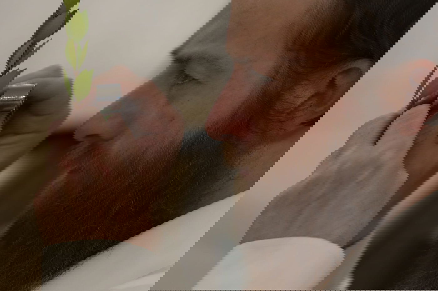 בלי בלעטל: בירושלים נערכים לחג הסוכות