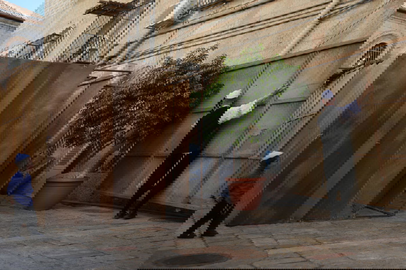 בלי בלעטל: בירושלים נערכים לחג הסוכות