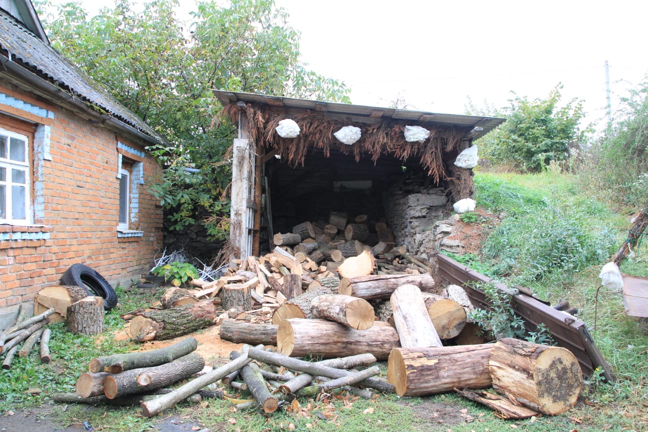 ערב ראש השנה: חיי היום יום בעיירה מז'יבוז