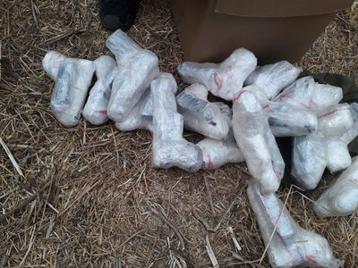 חלק מהאקדחים העטופים