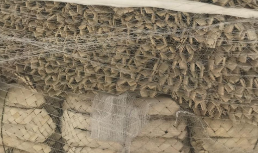 והיכן מייצרים את הקוישיקלך? ברצועת עזה