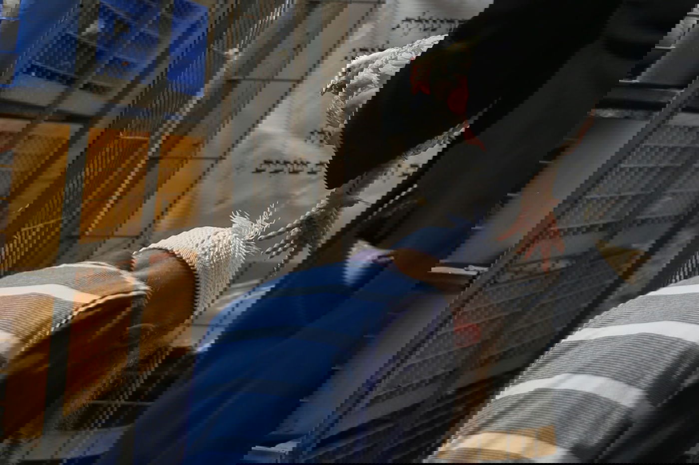 צפו: הירושלמים ערכו 'כפרות' על תרנגולים