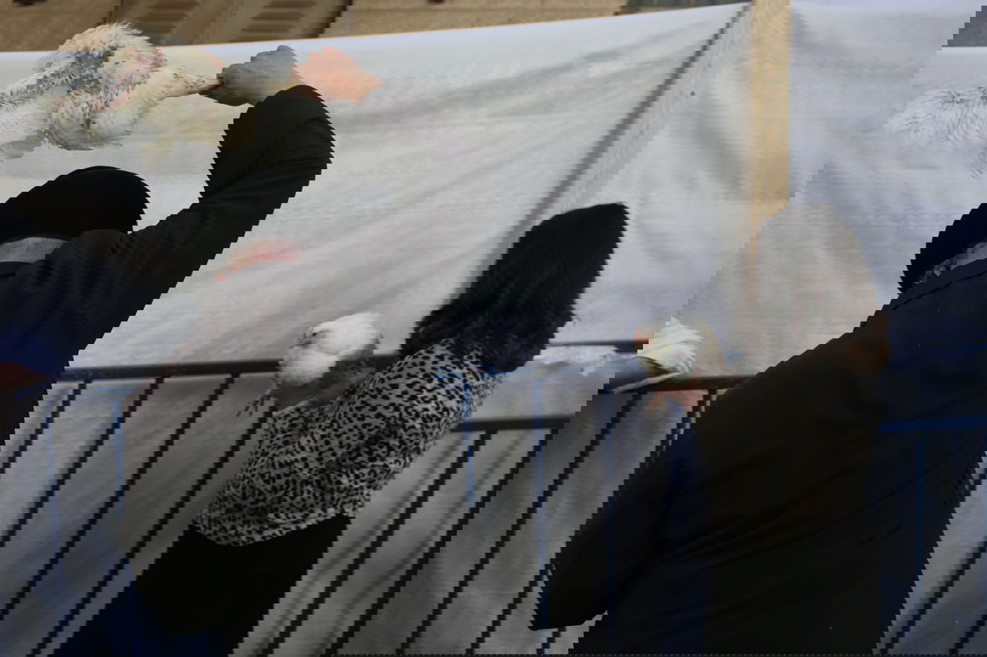 צפו: הירושלמים ערכו 'כפרות' על תרנגולים