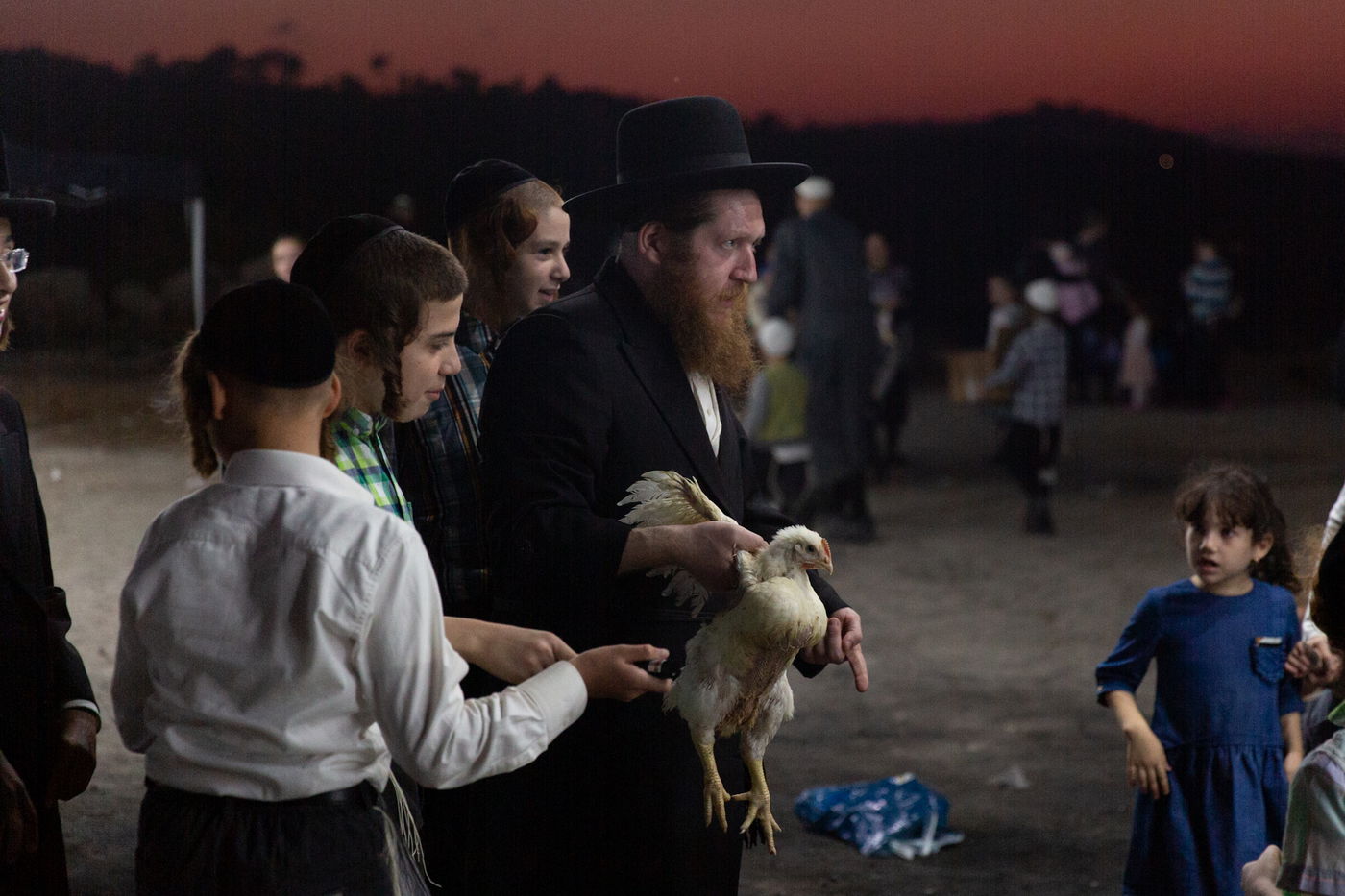 כפרות בשקיעה: גלריה מרהיבה מבית שמש