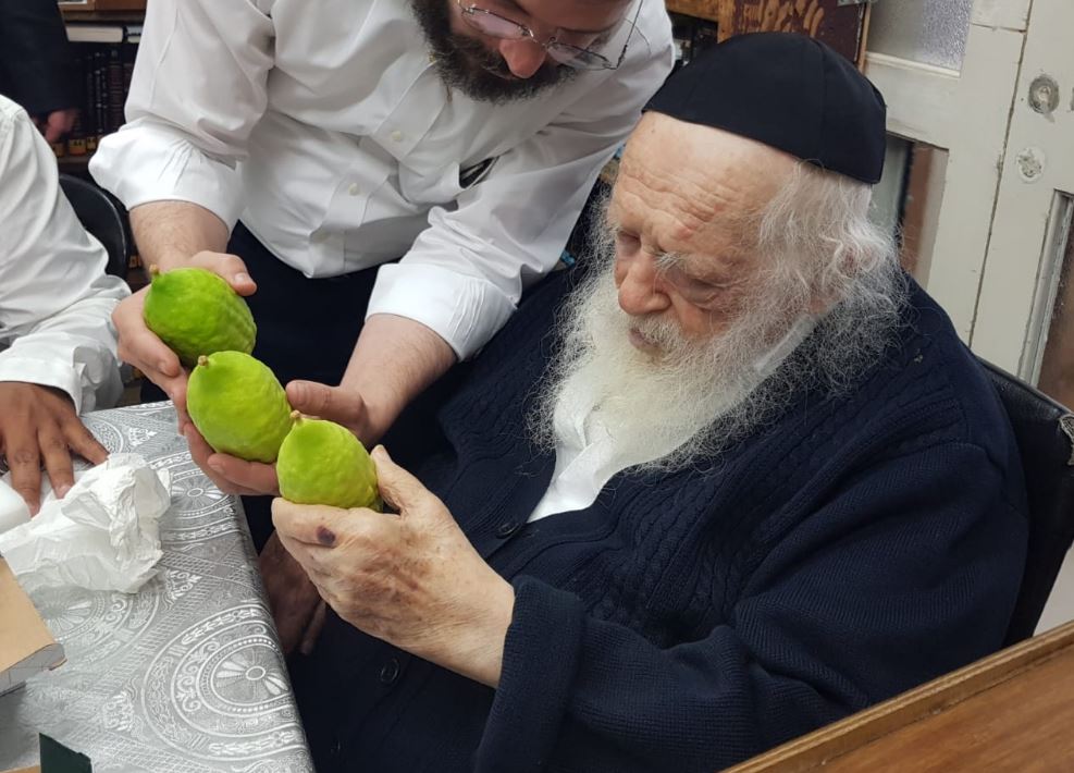 מרוקאי ברשב"ם: מרן שר התורה בוחר אתרוג