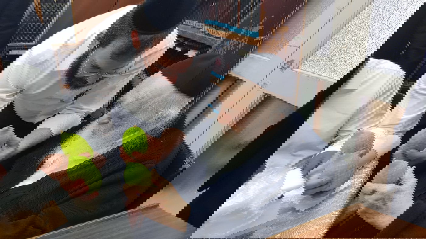 מרוקאי ברשב"ם: מרן שר התורה בוחר אתרוג