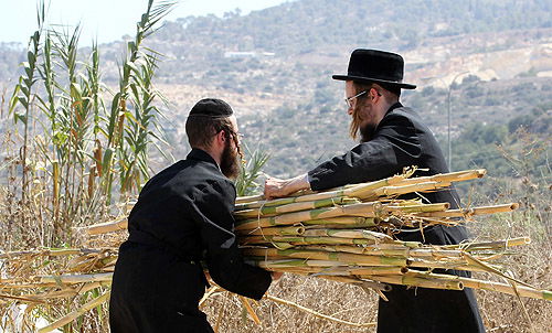 אילוסטרציה